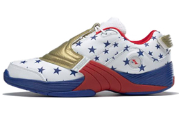 Reebok Answer Винтажные Баскетбольные Кроссовки Унисекс fw7486