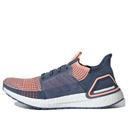 Кроссовки ультрабуст 19 Adidas, синий g54013 | pinkblue
