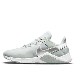 Кроссовки легенда Essential 2 Nike, серый cq9545-012 | grey/silver