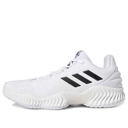Кроссовки pro bounce 2018 низкие Adidas, белый fw5748 | white/black