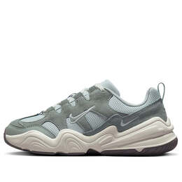 Кроссовки тек хера Nike, серебряный dr9761-001 | light silver/sail/flat pewter/mica green