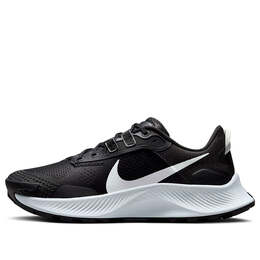 Кроссовки пегас трейл 3 Nike, черный da8698-001 | black/dark smoke/grey/pure platinum