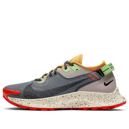 Кроссовки пегас трейл 2 gtx Nike, серый cu2018-002 | gray/yellow/red