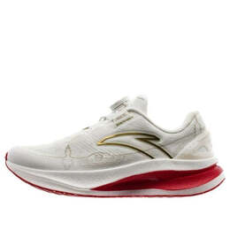 Кроссовки чемпион 2 про Anta, белый 122345582s-1 | white/gold/red