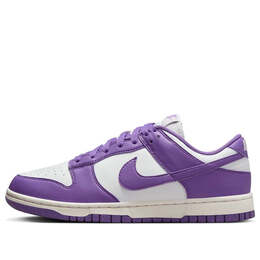 Кроссовки данки низкие следующая природа Nike, белый dd1873-108 | summit white/black raspberry/sail/black