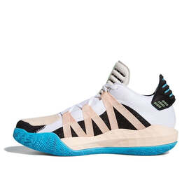 Кроссовки дама 6 Adidas, черный fy0875 | black/white/pink