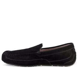 Кроссовки ольха Ugg, черный 1003419-blk | black