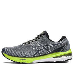 Кроссовки gt 2000 10 Asics, серый 1011b185-023 | gray