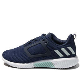 Кроссовки Adidas climawarm Adidas, синий cg2737 | blue