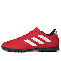 Кроссовки goletto vii tf Adidas, красный fy3541 | red/white