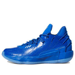 Кроссовки ric flair x dame 7 Adidas, синий fy2807 | blue