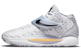 Кроссовки Nike KD 14 Home Wolf, серый cz0170-100