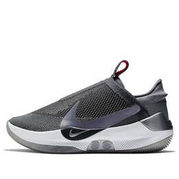 Кроссовки адаптируются bb Nike, серый ao2582-004 | grey