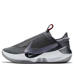 Кроссовки адаптируют bb gc Nike, серый cj5000-002 | dark grey/reflect silver
