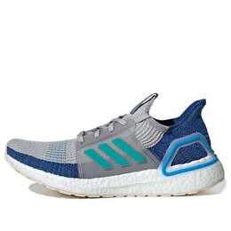 Кроссовки ультрабуст 19 Adidas, серый f35240 | gray/navy blue