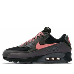 Кроссовки air max 90 премиум Nike, черный ci6394-001 | black
