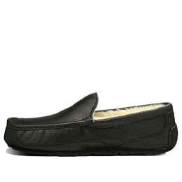 Кроссовки аскот Ugg, черный 5379b-blk | black