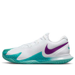 Кроссовки Court Zoom Vapor Cage 4 Rafa Nike, белый dd1579-153 | white/washed teal/red plum