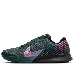 Кроссовки Court Air Zoom Vapor Pro 2 Premium Nike, черный fd6692-001 | black/deep jungle/clear jade/multicolor