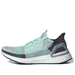 Кроссовки ультрабуст 19 Adidas, зеленый f35285 | green/gray/white