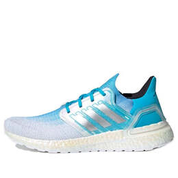 Кроссовки ультрабуст 20 Adidas, синий fv8324 | blue/silver/white