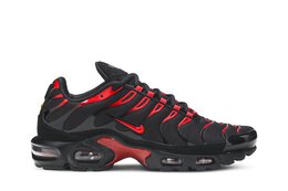 Кроссовки Nike Air Max Plus, черный cu4864 001 | black