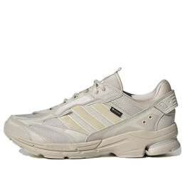Кроссовки spiritain 2000 gore tex Adidas, серый hp6717 | gray/cream