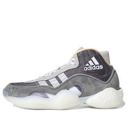Кроссовки byw icon 98 Adidas Crazy, серый ee6878 | gray/white