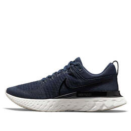 Кроссовки react infinity run flyknit 2 Nike, синий ct2357-401 | blue