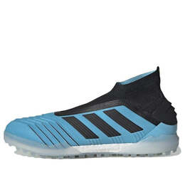 Кроссовки Predator Tan 19 Adidas, синий f35625 | blue/black