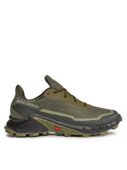 Кроссовки Alphacross 5 Gtx GORE-TEX 473103 29 W0 Salomon, зеленый alphacross 5 gtx gore-tex 473103 29 w0 | grün