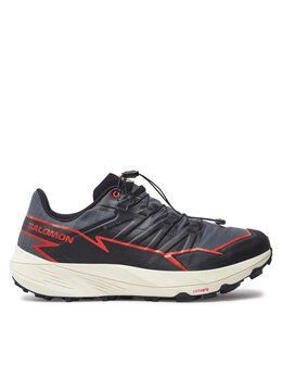 Кроссовки Thundercross Gore-Tex L47684500 Salomon, серый thundercross gore-tex l47684500 | grau