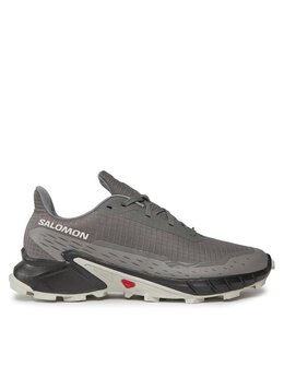 Кроссовки Salomon, серый 0000303487010 | grau