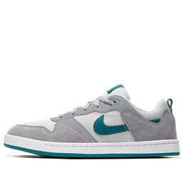 Кроссовки alleyoop sb Nike, серый cj0882-003 | grey/green