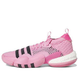Кроссовки trae young 2 Adidas, розовый ie1667 | pink/black