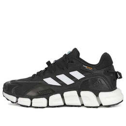 Кроссовки climawarm boost Adidas, белый hp6693 | blackwhite