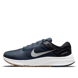 Кроссовки air zoom structure 24 Nike, синий da8535-400 | thunder blue/black/dark obsidian/wolf grey