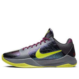 Кроссовки nba 2k20 x kobe 5 protro Nike, синий cd4991-001 | blue/purple/green