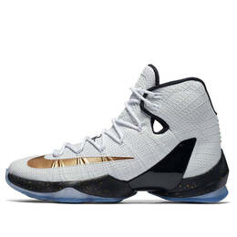 Кроссовки lebron 13 элита Nike, белый 831923-170 | white/black-metallic gold