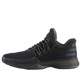 Кроссовки твердеют том 1 ксено Adidas, черный cg4940 | black