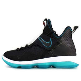 Кроссовки lebron 14 prm ep Nike, черный 943324-002 | black/grass blue