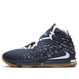 Кроссовки леброн 17 Nike, синий cd5056-400 | blue