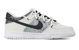Кроссовки Nike Dunk Skateboard Shoes Men Low-Top Silver White/Black dv0831-101(team44-白龙吟)