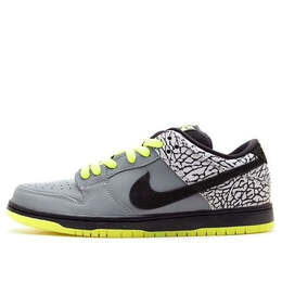 Кроссовки sb dunk low premium qs Nike, золотой 504750-017 | golden silver/black/