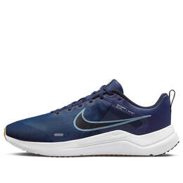 Кроссовки дауншифтер 12 Nike, синий dd9293-400 | blue/white