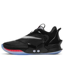 Кроссовки адаптируют bb 2.0 Nike, черный cv2442-001 | black