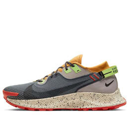 Кроссовки пегас трейл 2 gtx Nike, серый cu2016-002 | smoke grey/bucktan/college grey/black