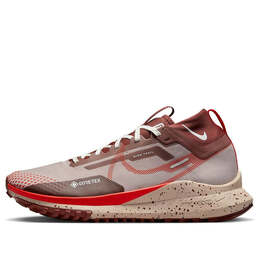 Кроссовки pegasus trail 4 gore tex Nike, коричневый dj7926-200 | diffused taupe/dark pony/sail/picante red