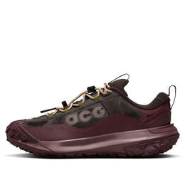 Кроссовки acg mountain fly 2 low gtx Nike, коричневый hf6245-200 | velvet brown/burgundy
