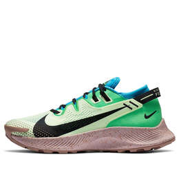 Кроссовки пегас трейл 2 Nike, синий ck4305-700 | blue/green